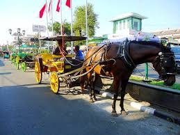 img (58)